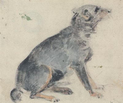 Studio di un cane da David Cox