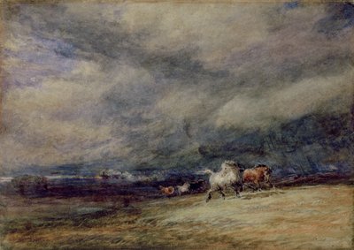 Il treno notturno da David Cox