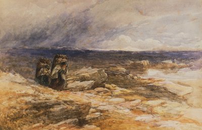 I raccoglitori di torba vicino a Bettws-Y-Coed, Galles del Nord da David Cox