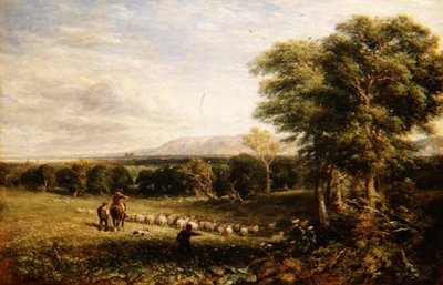 La Valle di Clwyd da David Cox