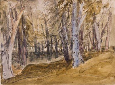 Alberi su Box Hill da David Cox
