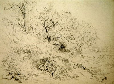 Paesaggio gallese da David Cox
