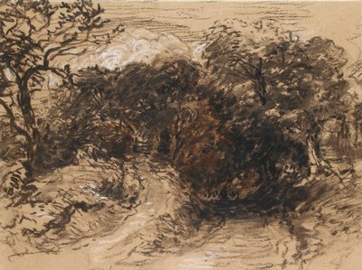 Una strada incavata vicino a Harborne, Derbyshire da David Cox the elder