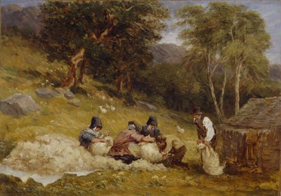 Tosatura delle pecore da David Cox the elder