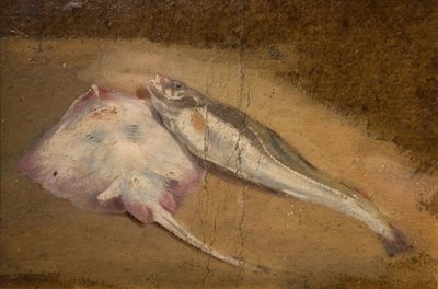 Studio di pesci - Razza e Merluzzo, 1842 da David Cox the elder
