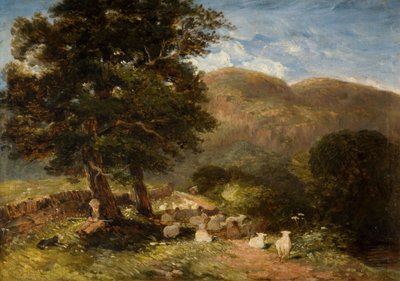 Pastore a Bettws-y-Coed da David Cox the elder