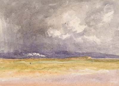 Il treno sulla costa da David Cox the elder