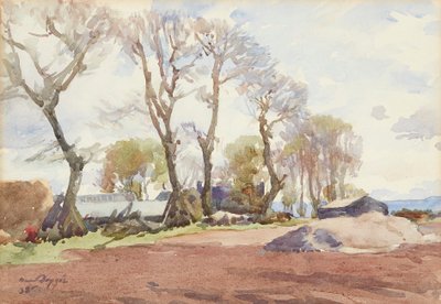 Alberi invernali da David Foggie