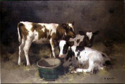 Tre vitelli da David Gauld