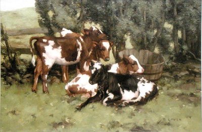Tre vitelli, c.1920 da David Gould