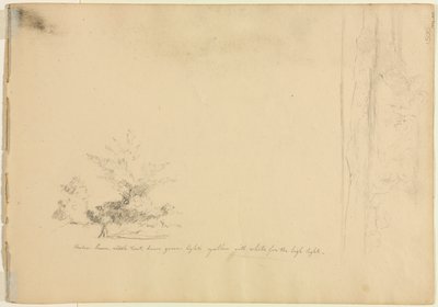 Studi sul paesaggio e sugli alberi (verso) da David Johnson