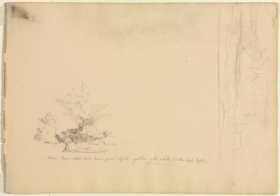 Studi di paesaggio e alberi verso, c. 1851 da David Johnson