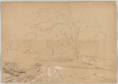 Paesaggio con uomo che pesca, Conway, New Hampshire da David Johnson