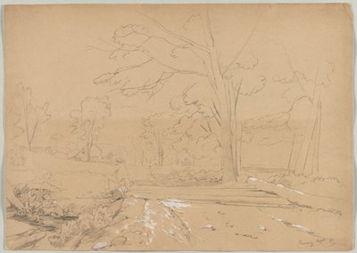 Paesaggio con uomo che pesca, Conway, New Hampshire, 1851 da David Johnson