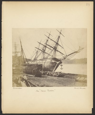 La "Jane Tudor" da David Johnson