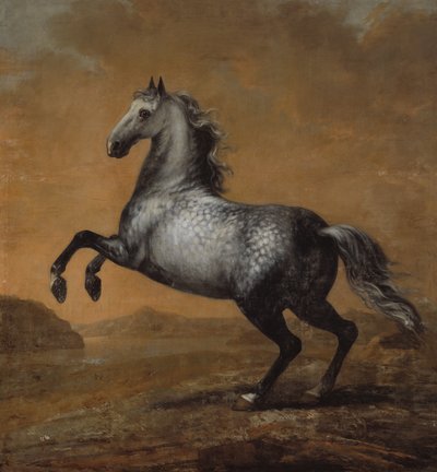 Il piccolo inglese, cavallo di re Carlo XI (1655-97) da David Klöcker Ehrenstrahl