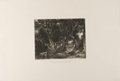 Una Valle, Parco di Helmingham, Suffolk da David Lucas