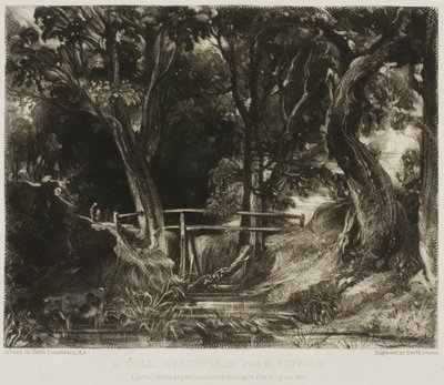 Una valle, Helmingham Park, Suffolk da David Lucas