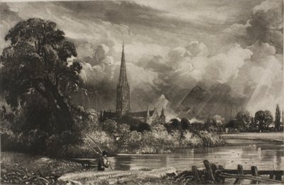 Cattedrale di Salisbury da David Lucas