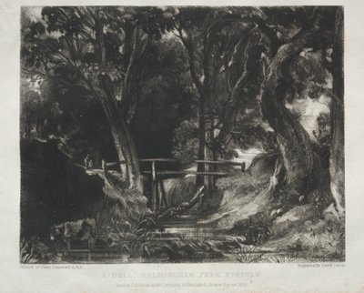 Vari soggetti di paesaggio, caratteristici del paesaggio inglese da quadri dipinti da John Constable, R.A.: Valle nel bosco di Helmingham Park, Suffolk da David Lucas
