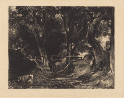Una valle, Helmingham Park, Suffolk da David Lucas after John Constable