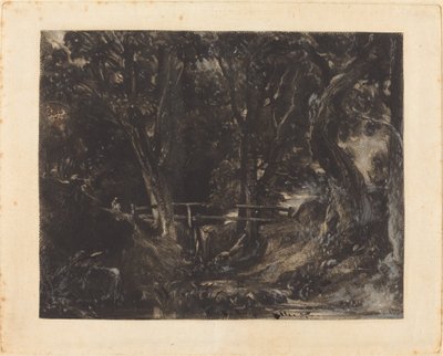 Una valle a Helmingham Park, Suffolk da David Lucas after John Constable