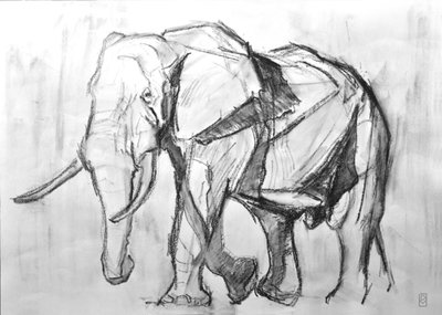 Elefante Africano da David Mayer