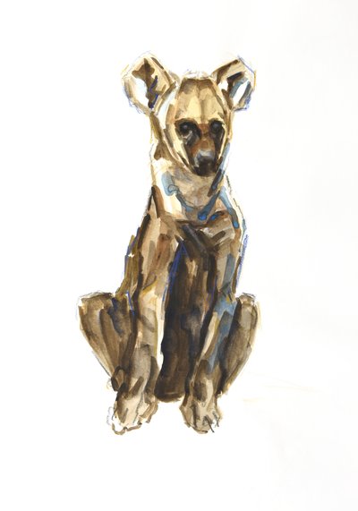 Cucciolo di Iena, 2020 da David Mayer