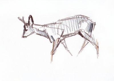 Capriolo, 2021 da David Mayer