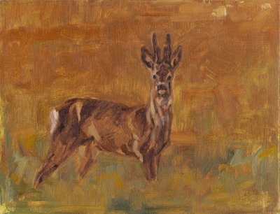 Capriolo, 2021 da David Mayer