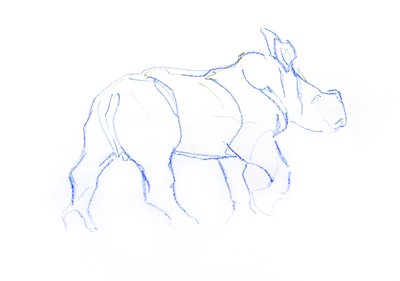 Cucciolo di rinoceronte bianco da David Mayer