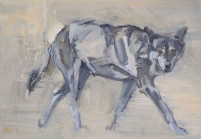 Lupo 11, 2023 da David Mayer