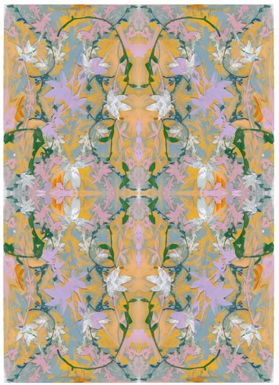 Collage botanico n. 4, 2017 da David McConochie
