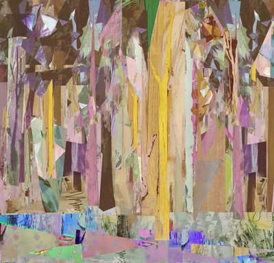 Boschetto/Frammenti, 2017 da David McConochie