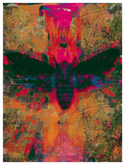 Collage di falena della morte, 2016 da David McConochie