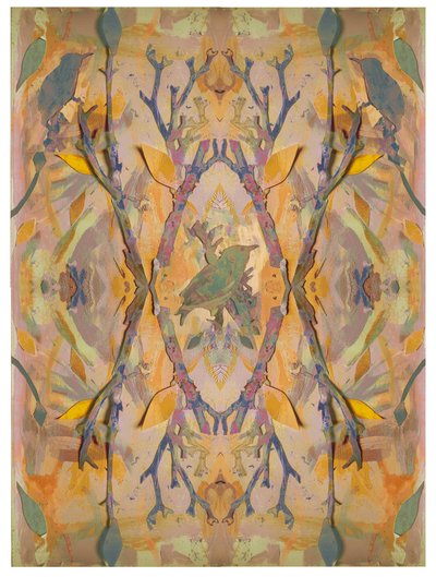 Storni, 2016 da David McConochie
