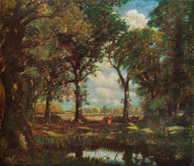 Una pozza nel bosco, c1905 da David Muirhead