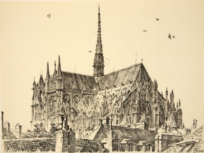 Cattedrale di Amiens, illustrazione da 