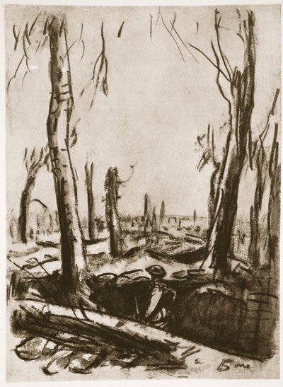 Trincee rovinate a Mametz Wood, illustrazione da 