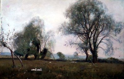 Giù nei prati acquatici da David Murray