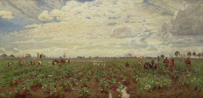 Lavoratori agricoli, Olanda da David Murray