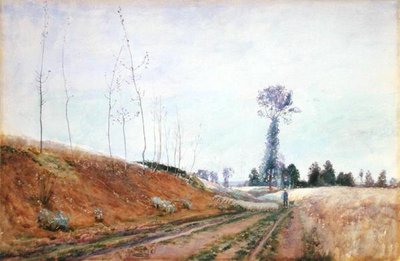 Pascolo lungo la strada in Piccardia, c.1887 da David Murray