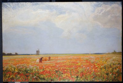 I raccoglitori di fiori da David Murray