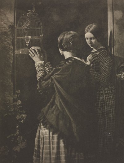 Camera Work: La Gabbia degli Uccelli, 1909 da David Octavius Hill