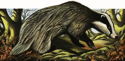 Il signor e la signora Badger a casa da David Pratt