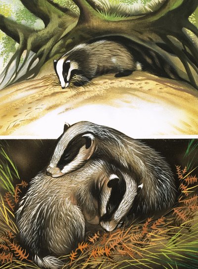 Il signor e la signora Badger a casa da David Pratt