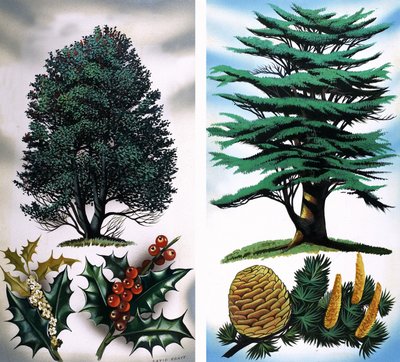 Alberi visibili: Agrifoglio e cedro da David Pratt