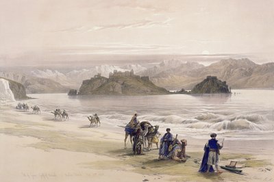 Isola di Graie, Golfo di Akabah, Arabia Petraea, 27 febbraio 1839, tavola 108 dal Volume III di 