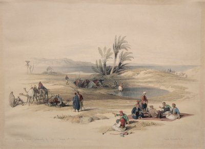 Pozzi di Mosè, deserto di Tyh da David Roberts
