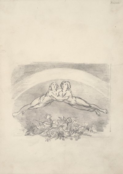 Sei disegni per Nichol